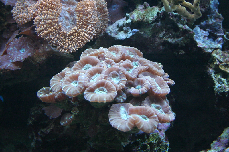 Killikus® Fotographie Killikus® Fotographie